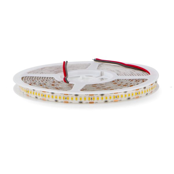 Tira de LED 24V DC SMD2835 Ziadna IP65 240 Led/m - 5 Metros - N