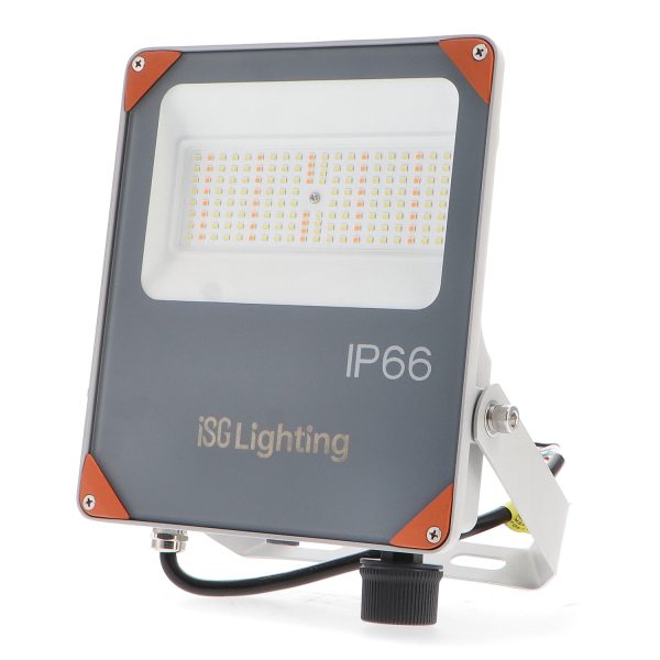 Foco proyector LED Secret 100W - NGA6862