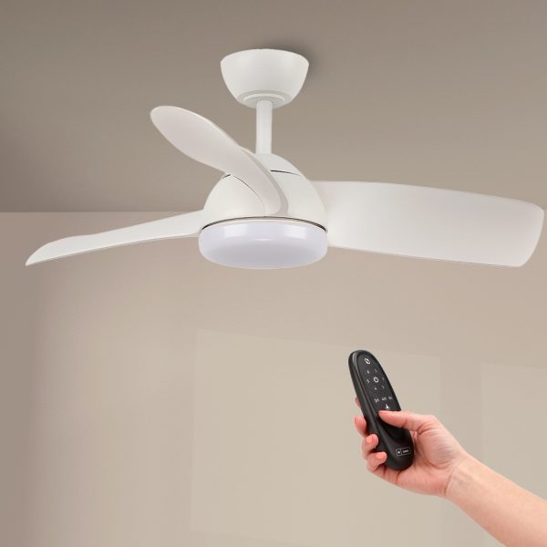 Ventilador de techo LED White Face - DSC - NLM8801