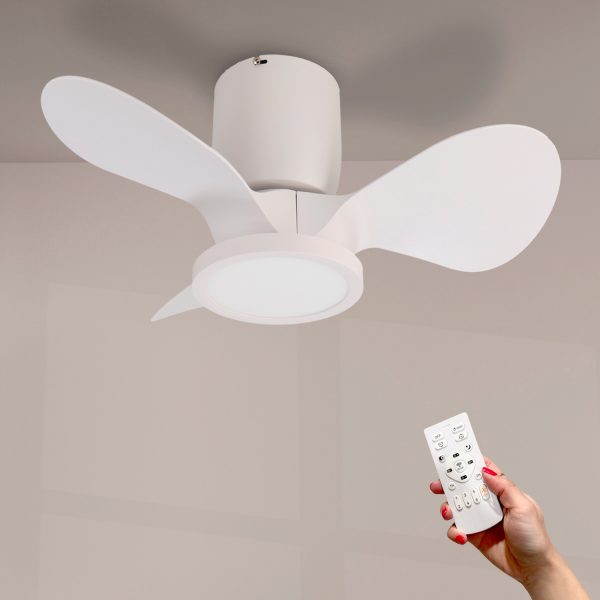 Ventilador de techo LED Nature - NLM8823