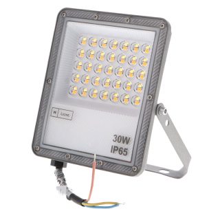 Foco Proyector Led Palermo 30W CCT - N
