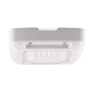 Foco Proyector Led  50W - N
