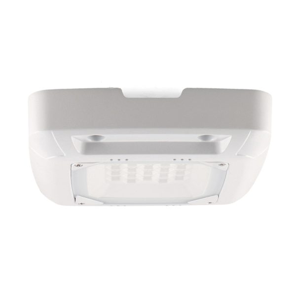 Foco Proyector Led  50W - N